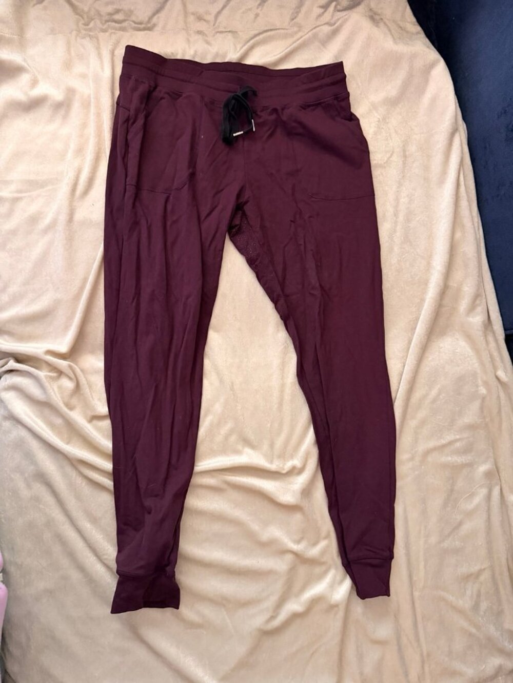 Zyia active plum unwind joggers size large